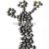 Organic Black Beans With Green Kernel thumbnail-1