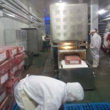 Industrial Microwave Thawing Machine For Frozen Chicken Block thumbnail-2