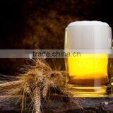 Ruijia Hotel Draft 100L Beer Machine Brewery Machinery for Sale thumbnail-6