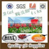 Guangzhou Lifeng Greeting Card/ Chrismas Card/ Chrismas 3d Card