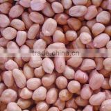 China 24-28 peanut kernels
