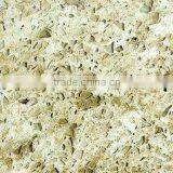 Wayon Man Made Multi Color Quartz WG050