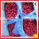 Iqf Raspberry Seller