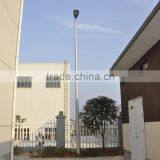 High Quality Reliable Customized Street Lamp thumbnail-1