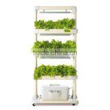Indoor Garden_LED Hydroponic Cultivator thumbnail-2
