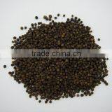 Vietnam export black pepper FAQ 500g/l