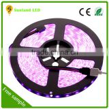 2016 Hot selling wholesale price high quality led strip light kit with sensor controlled,led strip light kit outdoor use