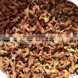 Fresh Galangal Root Dried thumbnail-1