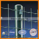 Best price Holland welded wire mesh (manufacturer)