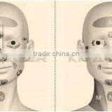 Upgraded Power Board! Ultrasound Fat Burning Machine thumbnail-6