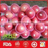 High Quality And Inexpensive Fresh Fuji Apples thumbnail-1