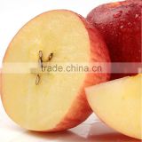 fresh apple from china