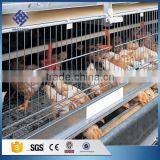 30 Years' Factory Supply Automatic Chicken Broiler Cages thumbnail-5