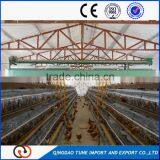 Birdsitter chicken farms poultry automatic feeding system for sale