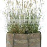 Vegetable Grow Bag thumbnail-1