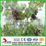 HDPE Anti Insect Bird Net thumbnail-1