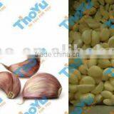 2016 Best Quality Garlic Peeler Machine/stainless Steel Garlic Peeling Machine Made by 304stainless Steel thumbnail-5