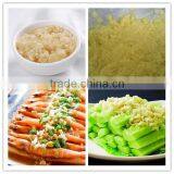 Price of Garlic Grinder Machine/potato Paste Making Machine thumbnail-3