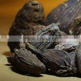Black Cardamom
