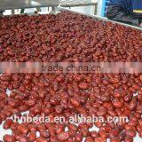 Mesh Machine Type and New Condition Mesh Belt Dryer thumbnail-3