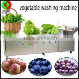Factory Output, Mango, Pumpkin and Pineapple Washing Quipment thumbnail-5