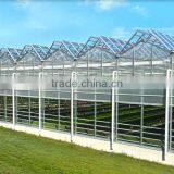 Galvanized Steel Structure Tempered Glass Greenhouse/Hydroponics Greenhouse/Commercial Greenhouse thumbnail-5