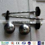 Twist Umbrella Head Galvanized Roofing Nails thumbnail-4