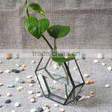 New Design Home Decor Hanging Terrarium Hydroponic Glass Containers thumbnail-1