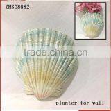Creative Pot Flower Unique Design Shell Mini Planter for Wall thumbnail-1