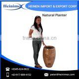 Leading Manufacturer and Exporter of Planters at Wholesale Rate thumbnail-2