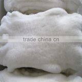 Excellent Rabbit Skin Rabbit Fur Collars of Otter Rabbit Fur thumbnail-3