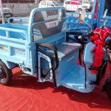 Tricycle thumbnail-1