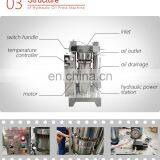 2019 New Type Cold Pressing Pinus Tomentosa Fruit Press Stainless Steel Hydraulic Press Sesame Oil Press thumbnail-6