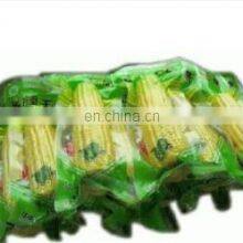 Watsapp+86 15140601620 High Productivity Frozen Food Products Continuous Rolling Vacuum Packaging Machine thumbnail-3