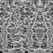 Expanded PTFE Membrane