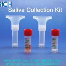 saliva collection kit