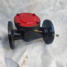 PN16 PN10 Cast Iron Ductile Iron GG25 GGG50 Large Diameter Flange Swing Check Valve Hard Seal Check Valve thumbnail-4