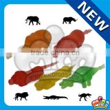 assorted animal shaped jelly