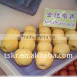 New Hot Fresh Golden Delicious Apple thumbnail-1