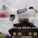 Large Inflatable Cow on Roof