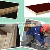 Brown & Black Film Faced Plywood thumbnail-5