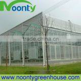 Glass Greenhouses for Agriculture thumbnail-1