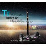 Top Sale Smart 10 Inch TT 2 Wheel Self Balancing Electric Scooter