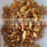 GOLDEN RAISIN (NEW CROP) thumbnail-5