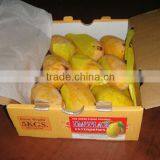 Farm Fresh Mangoes