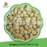 China Excellent Oganic Peeled Raw IQF Frozen Chestnut thumbnail-3