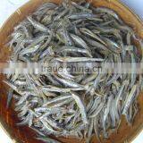 Anchovy Flavor/seasonings thumbnail-1