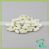 2016 White Beans Long Shape Low Price New Arrival thumbnail-5