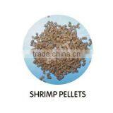 Pellet Fish Food thumbnail-1