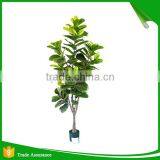 Incredibly Realistic Artificial Rubber Ficus Plant Tree for Home and House thumbnail-3